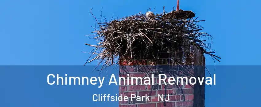  Chimney Animal Removal Cliffside Park - NJ