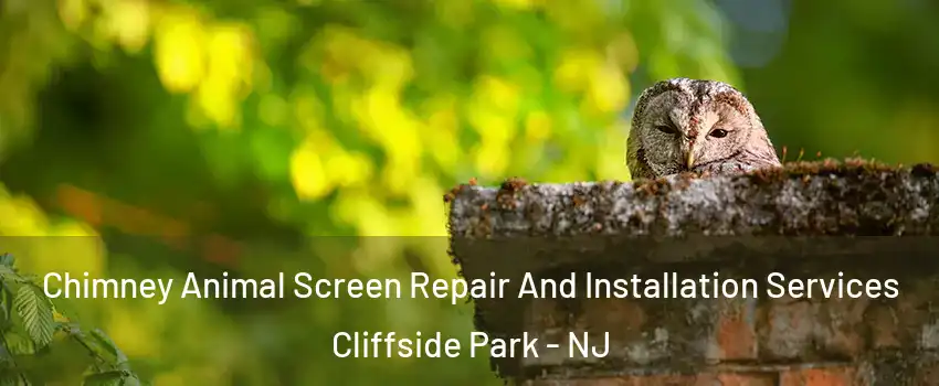  Chimney Animal Screen Repair And Installation Services Cliffside Park - NJ