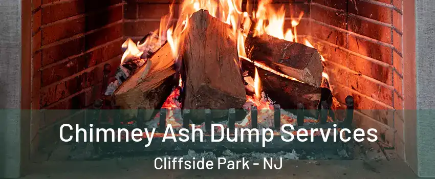  Chimney Ash Dump Services Cliffside Park - NJ