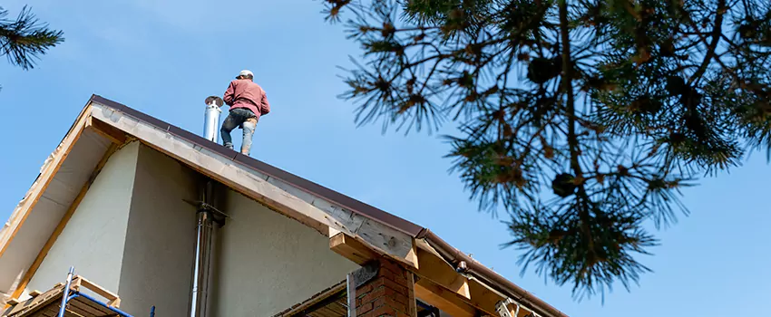 Birds Removal Contractors from Chimney in Cliffside Park, NJ